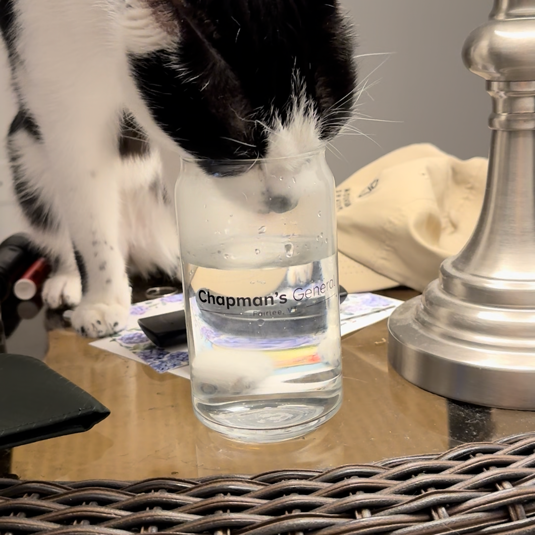Joey the cat drinking from a glass
